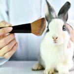 Laboratory professional evaluating cosmetic product safety using alternative testing methods instead of animal testing.