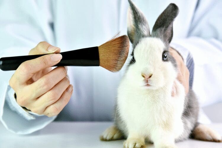 Laboratory professional evaluating cosmetic product safety using alternative testing methods instead of animal testing.