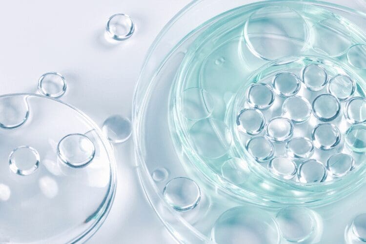 Clear cosmetic gel with hyaluronic acid spheres displayed in laboratory glass dishes.